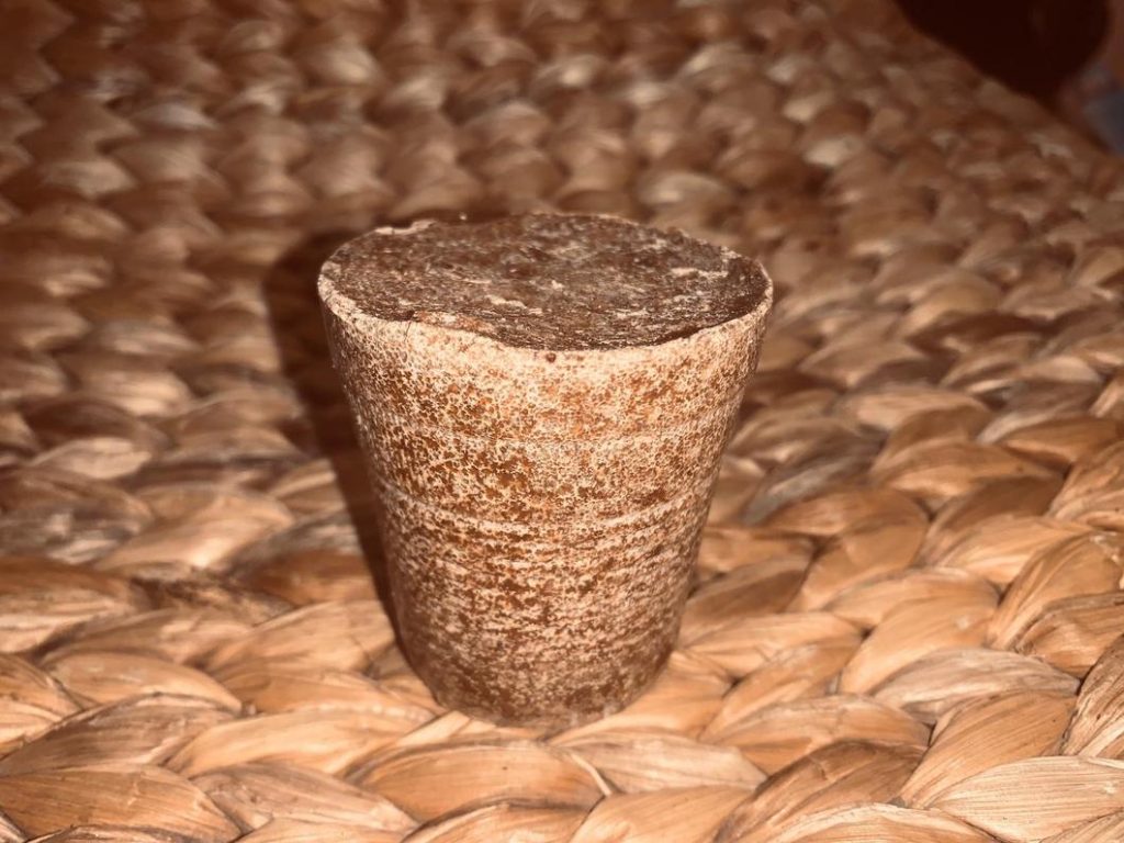 odika brut